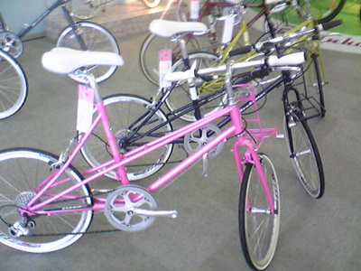 Image115.jpg